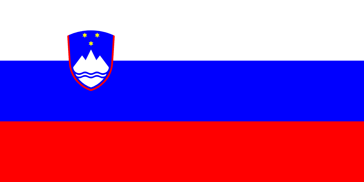 SI flag