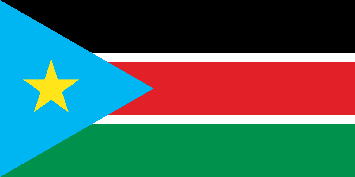 SS flag