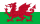 flag-Wales
