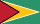 Guyana flag