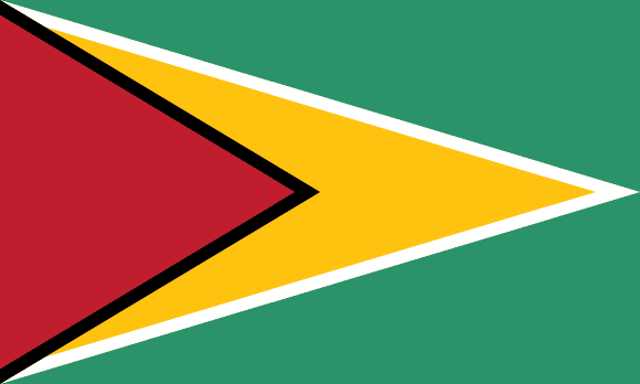Guyana flag